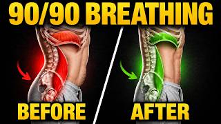 How to Fix Anterior Pelvic Tilt By Fixing The Diaphragm