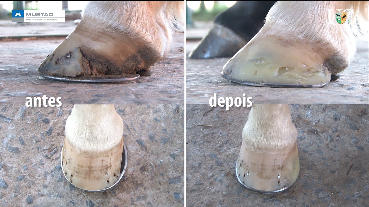 TV UC - Como reparar um casco rachado