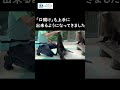 【カリフォルニアアシカ】チャパのトレーニング【サンシャイン水族館 】 #Shorts