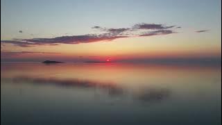 THERE'S A NEW - Staffan Carlen