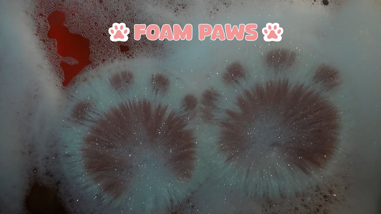 ASMR | Foam Paws 🐾😺 (Gentle Purring, Soapy Visuals & Soap Sounds)