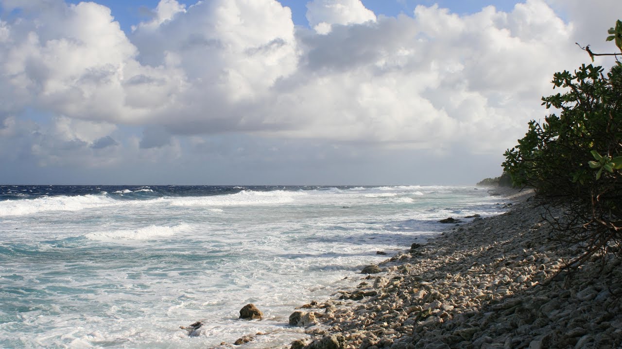 policy genius Climate impacts on Tuvalu and hopes for climate change negotiations