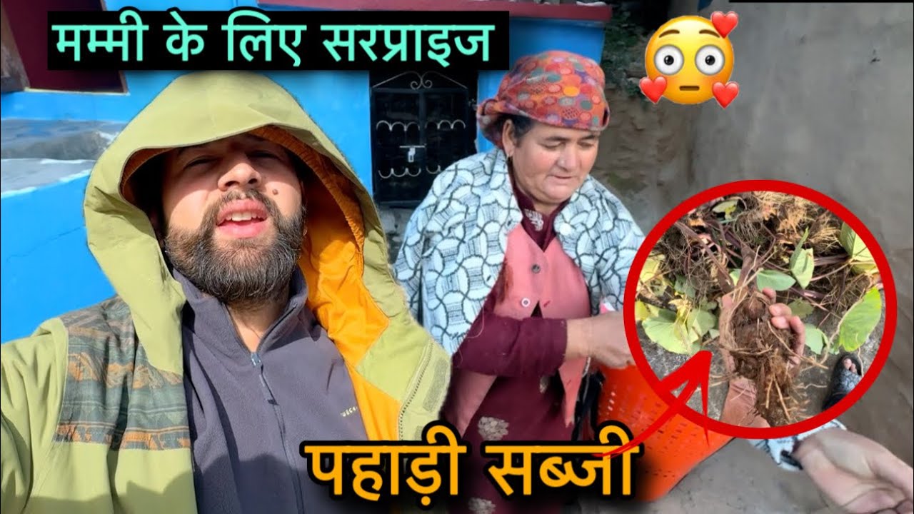 मम्मी के लिए मेले से लायी सरप्राइज चीज़ || मैं और मम्मी चले शिमला  ||Pahadi lifestyle || Rahulbro