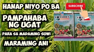 How To Apply Consort NPK Microbial Bio Fertilizer