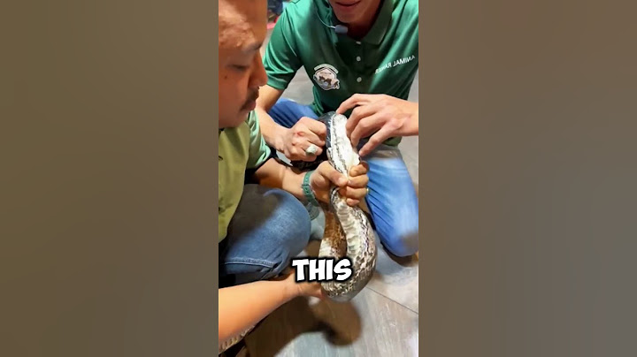 how many teeth does a snake have #shorts