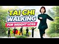 15 MIN Tai Chi Walking For Weight Loss | Lose Weight Stay Slim and Boost Health Mp3 Song