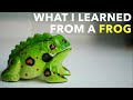 What I Learned From A Frog