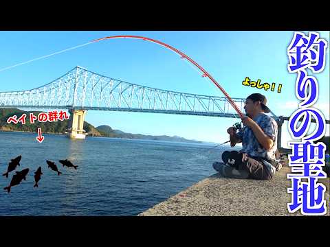 大量のベイトの群れにルアーを投げ続けたら・・・！？