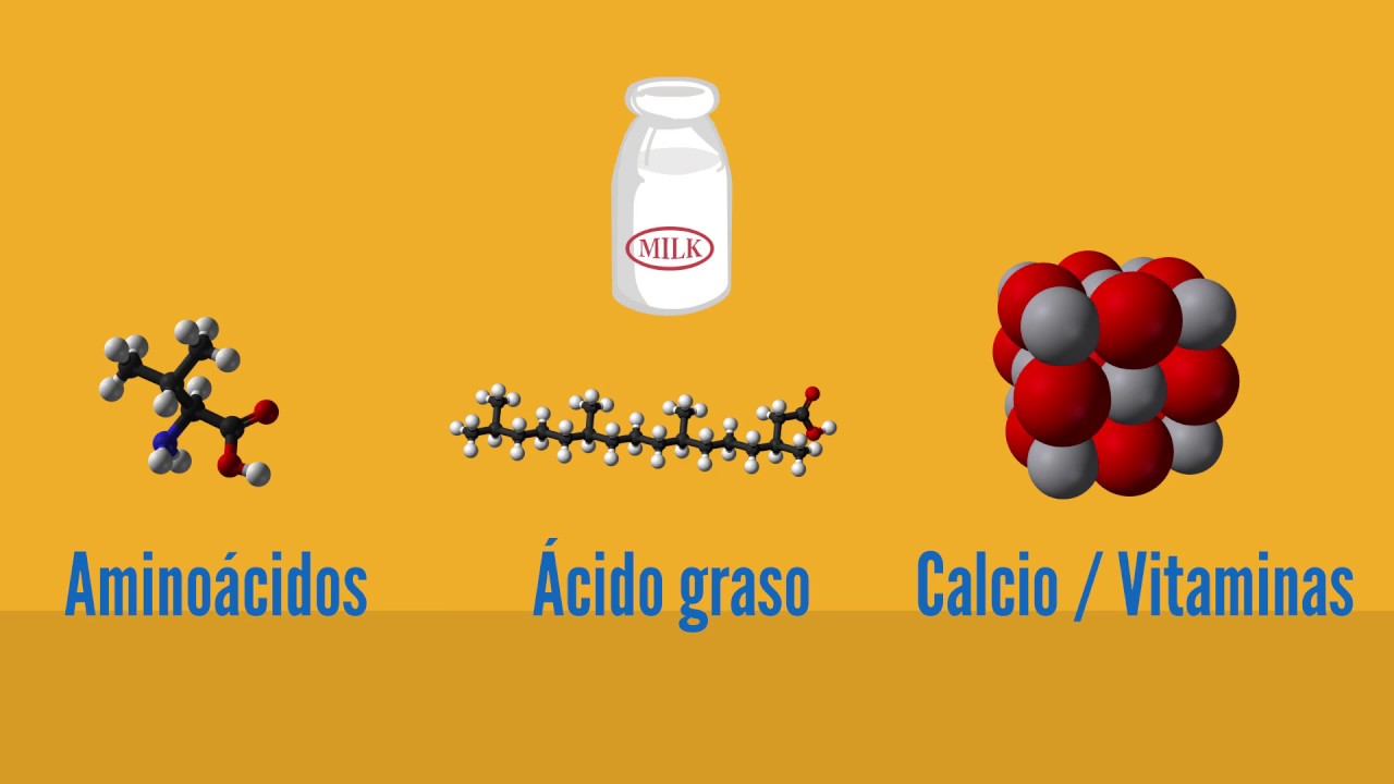 Dairy Knowledge Center In Spanish YouTube