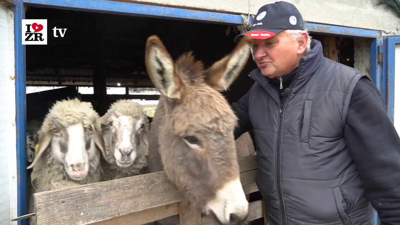 Pogledajte pravu idilu - u ovom društvu zaboravlja na sve probleme - jedan dan na salašu - reportaža