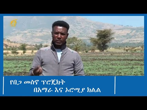 የበጋ መስኖ ፕሮጄክት በአማራ እና ኦሮሚያ ክልል  #ፋና_ዜና