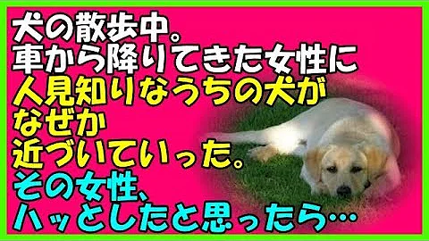 تحميل ほっこりする話 تحميل ほっこりする話