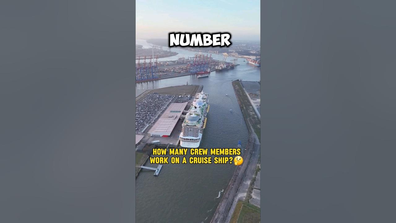 how-many-crew-on-cruise-ship-youtube