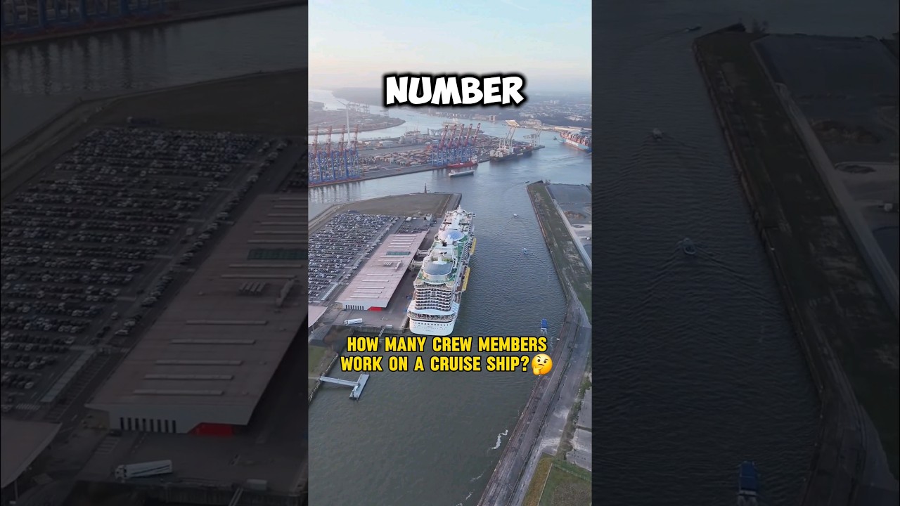 How Many CREW On Cruise Ship YouTube How Many CREW On Cruise Ship YouTube