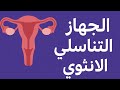 شرح الجهاز التناسلي الأنثوي بالكامل أحياء تالتة ثانوي التركيب الوظيفة والأفكار الصعبة