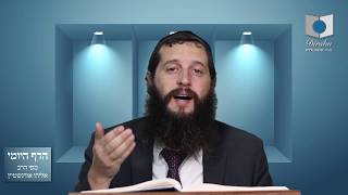 הדף היומי מסכת סנהדרין דף ק