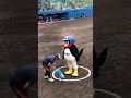 魔法陣で召喚されるつば九郎 #つば九郎 #swallows