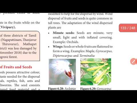 +2 BOTANY |CHAP 6| PRINCIPLES OF ECOLOGY|DISPERSAL OF FRUIT AND SEED