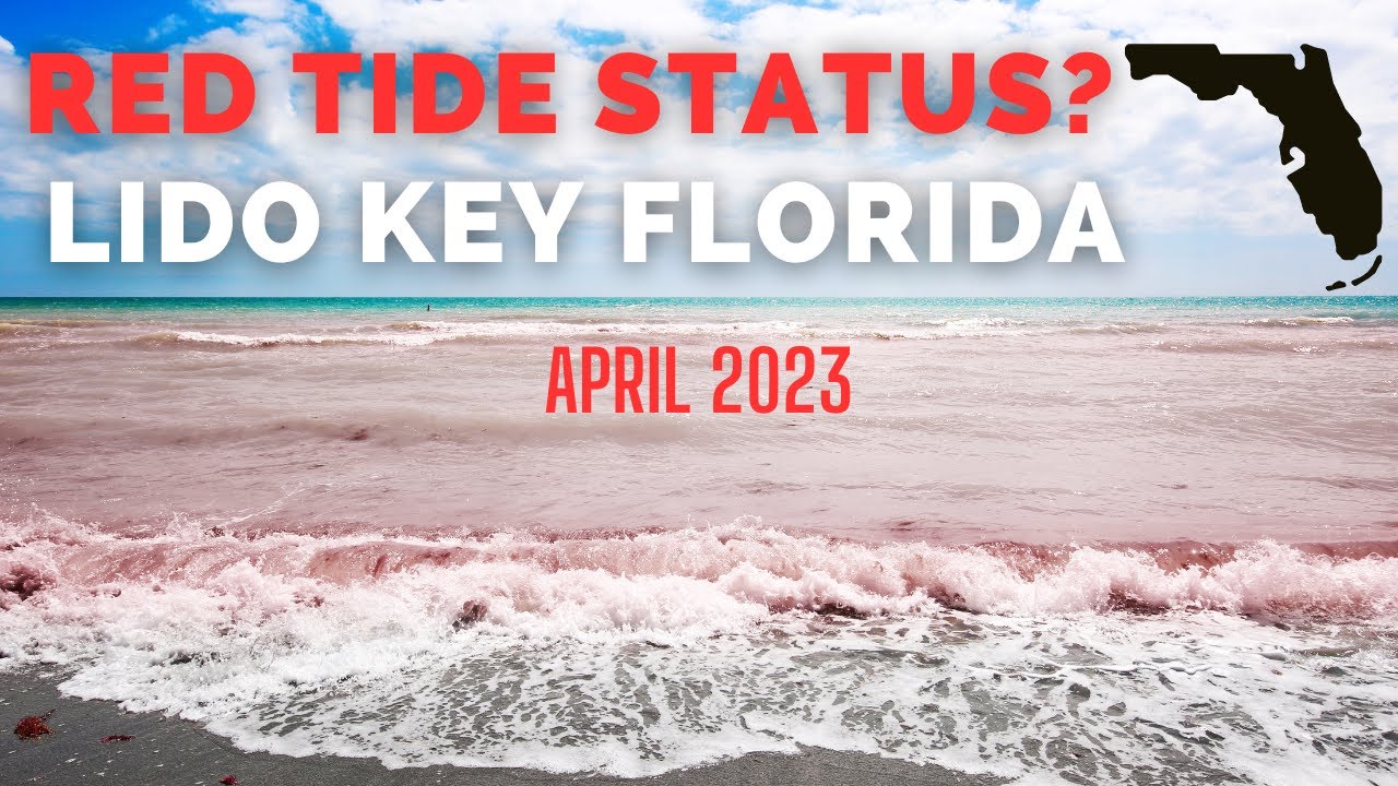 CURRENT BEACH CONDITIONS Drone view of Lido Key and Saint Armands