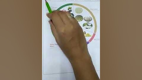 CLASS 1 EVS Revision UNIT 2 Video 3