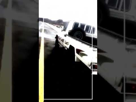 وتصادر شيصانا علمن وكادي