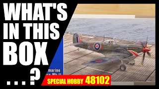 Supermarine Seafire Mk.II "Torch & Avalanche" - 1/48 video