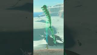 New FRIENDLY GLEEOK GLITCH in TotK!