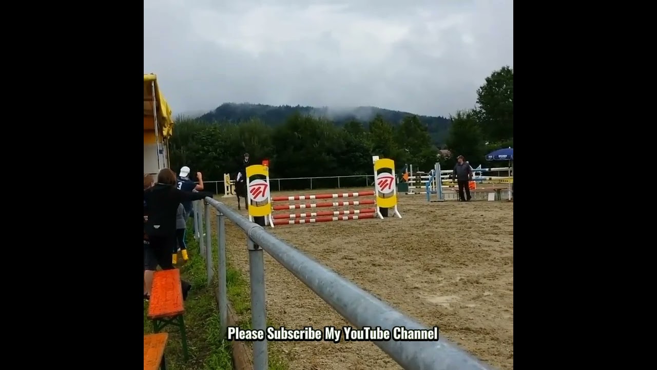 horse jumping YouTube