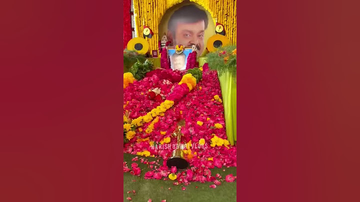 KPY BALA விஜயகாந்த் சமாதியில்  அஞ்சலி 💔🙏 #vijaykanth #kpybala #trending #viral #shorts