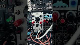 Xaoc Devices Belgrad - Eurorack Module on ModularGrid