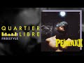 Capture de la vidéo [Quartier Libre] Pejmaxx / Freestyle