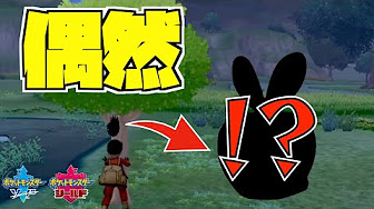 暴風混乱自滅を許さないイーブイズランクバトル ポケモン剣盾 Youtube 暴風混乱自滅を許さないイーブイズランクバトル ポケモン剣盾 Youtube
