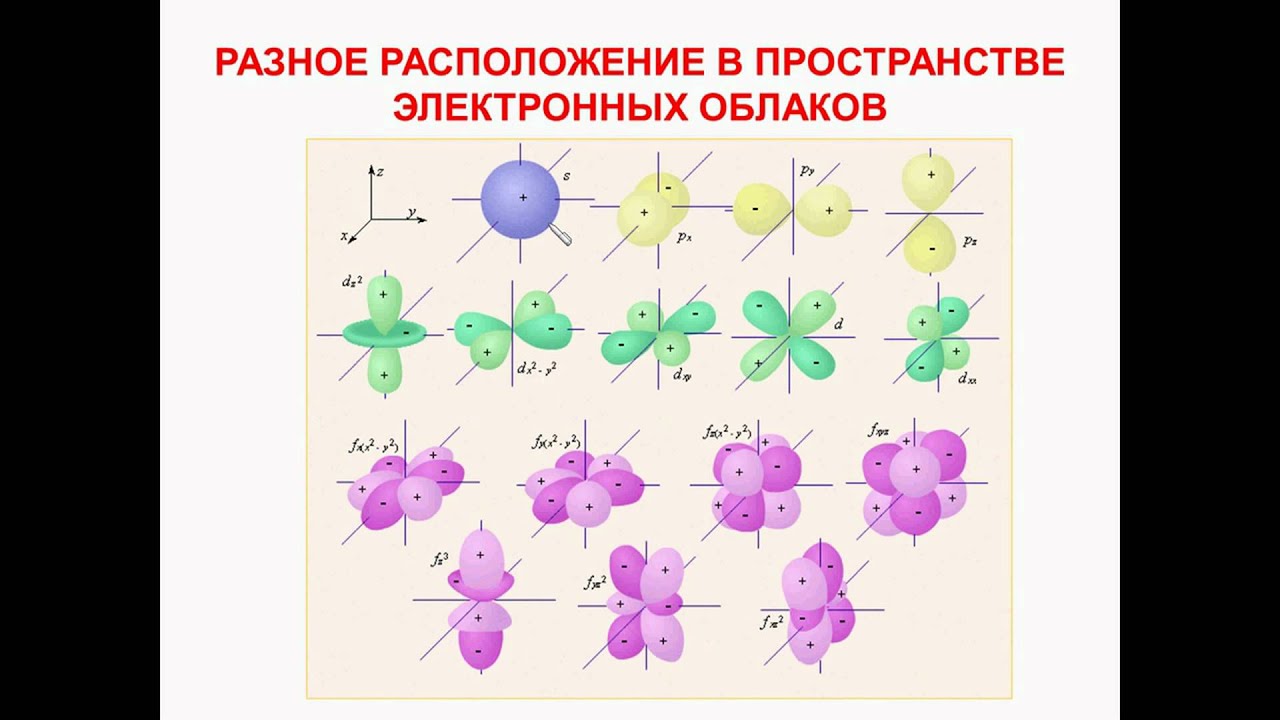 download скоростно силовая подготовка юных спортсменок в некоторых видах