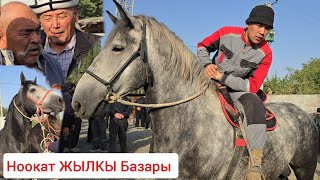 картинка: СООДАСЫ КАЙНАГАН НООКАТ ЖЫЛКЫ БАЗАРЫ 