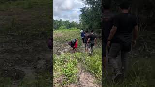 Download Lagu Sweet flooded #music #song #unstoppable #video #travel #naturemusic #automobile MP3