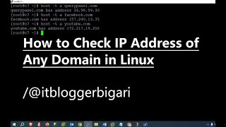 How to Check IP Address of Any Domain in Linux #linux #ipaddress
