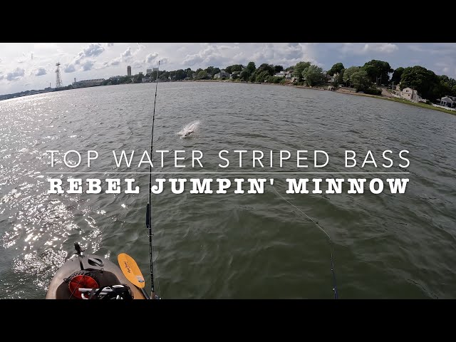 How to fish the Rebel Jumpin' Minnow for Striped Bass 