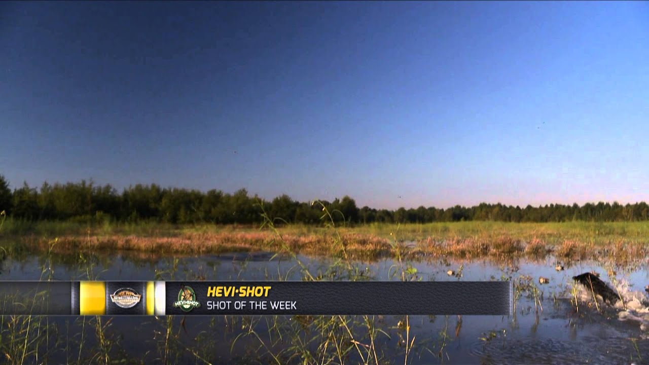 SportingDog Adventures - Eli Haydel, The Waterfowl Legend