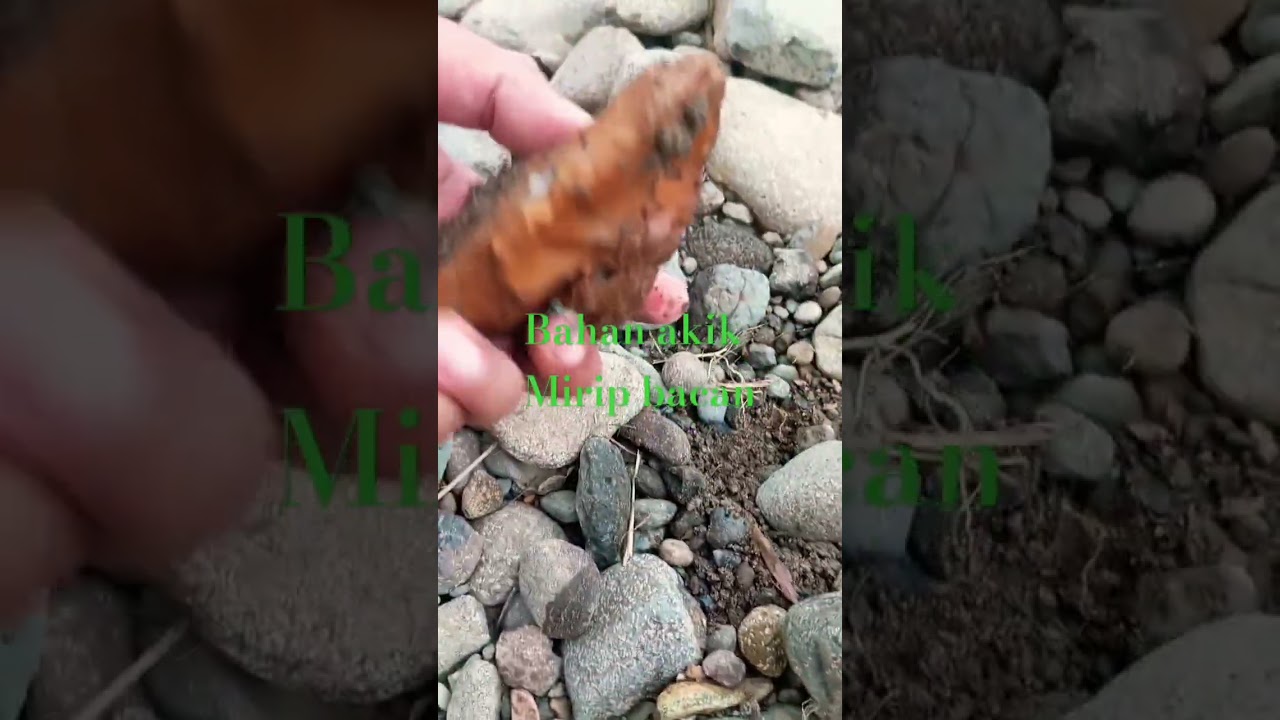 memburu bahan akik, dan deteksi bahan terbaik, batu akik