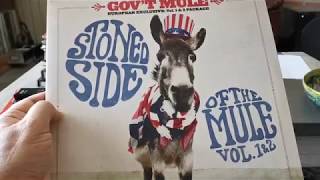 Gov't Mule 