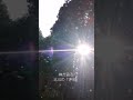 神が宿る七崎神社の御神木北斗の「矛杉」です🙏😉御神木北斗の「矛杉」御神木 ご利益 天龍🐉🌈369 #おまじない #人間関係