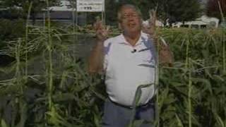 Farm Patriarch Joe Huber Dies At 74