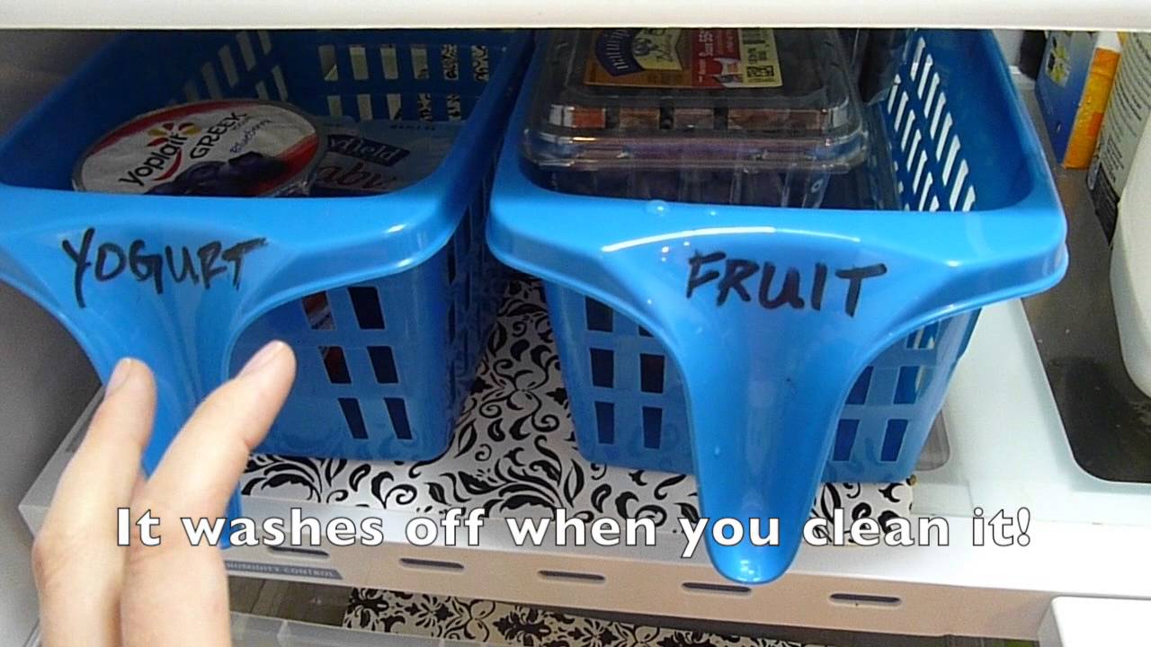 CHEAP FRIDGE ORGANIZATION Best Dollar Tree Ideas YouTube