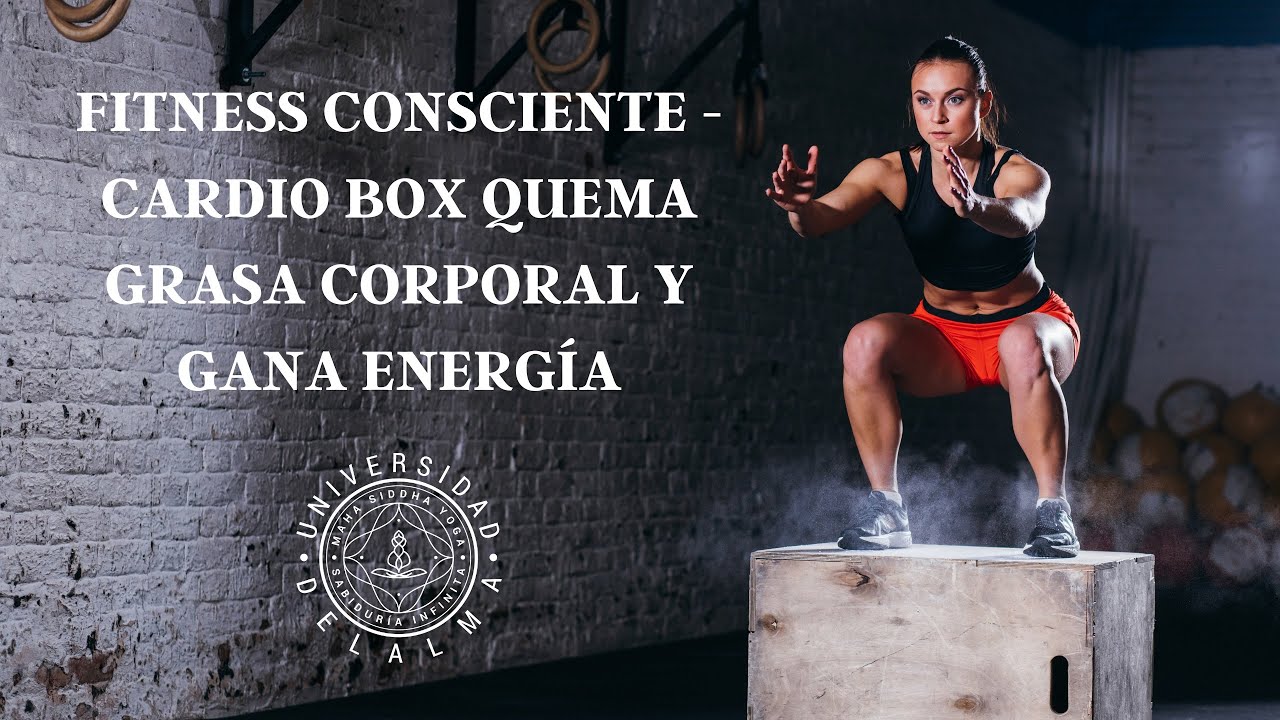 FITNESS CONSCIENTE - CARDIO BOX QUEMA GRASA CORPORAL Y GANA ENERGÍA ...