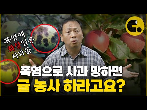 15년차 농부가 말하는 요즘 농사 운빨인 이유