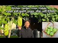 Full kitchen garden update  backyard harvest  nepali gardening vlog uk  nepali family uk