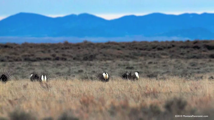 Take a trip to Montana with photographer Craig W. ...