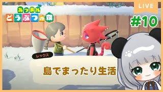 エイブルシスターズがついに開店!!のんびり島くらしをするのだ#10【＃あつまれどうぶつの森】