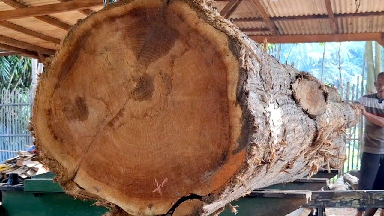 Amazing! Cutting large teak wood in the sawmill - YouTube