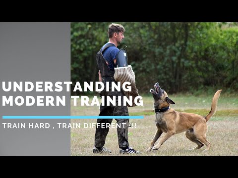 belgian-malinois,-amazing-dog-athlete-!-in-a-insane-protection-dog-training-with-viorel-scinteie-!!!